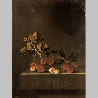 A Sprig of Gooseberries on a Stone Plinth Adriaen Coorte 1699
