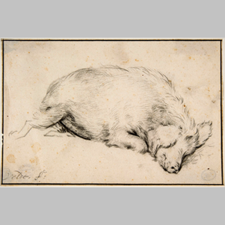 Adriaen-van-de-Velde---A Sleeping Swine