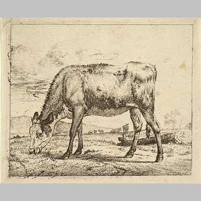 Adriaen-van-de-Velde---Grazing Calf, from Different Animals