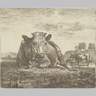 Adriaen-van-de-VeldeRecumbent Cow, from Different Animals