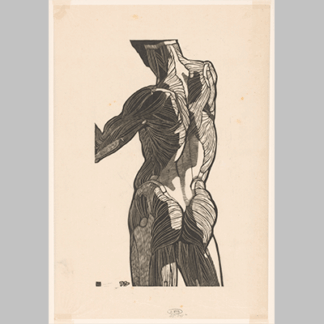 Anatomische studie van de rug en bilspieren van een man icon