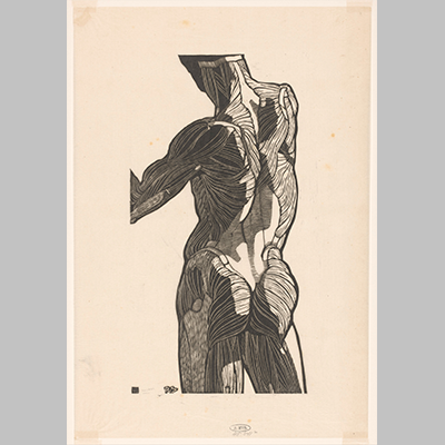 Anatomische studie van de rug en bilspieren van een man icon