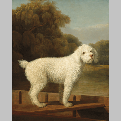 George Stubbs White Poodle in a Punt (1780)