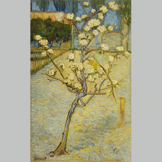 Van Gogh Bloeiend perenboompje
