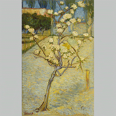 Van Gogh Bloeiend perenboompje
