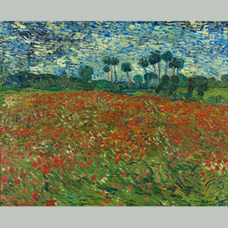 Van Gogh Poppy field