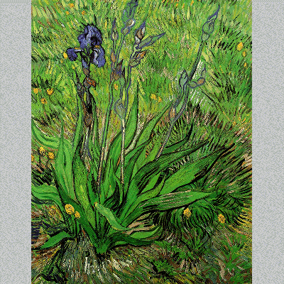Van Gogh The Iris