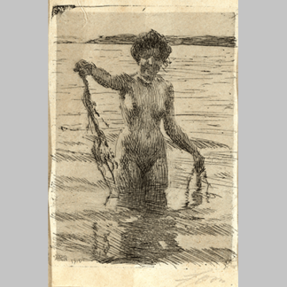 Anders Zorn Seaweed