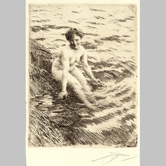 Anders Zorn Wet 1