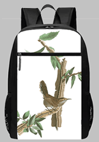 Audubon XL bp tfp