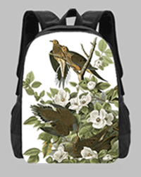 Audubon cbbi