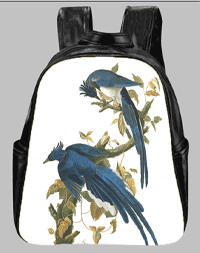 Audubon mp bp