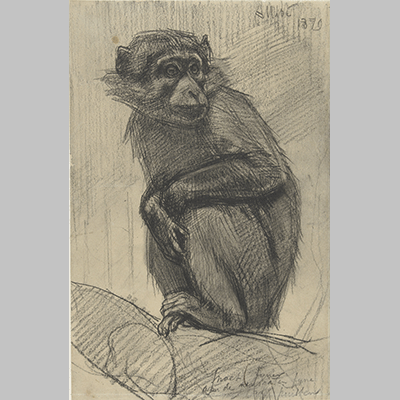 August Allebe Monkey on a Branch 1879