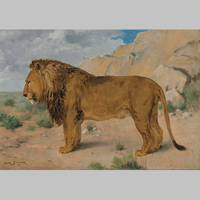 Bonheur study of a lion I