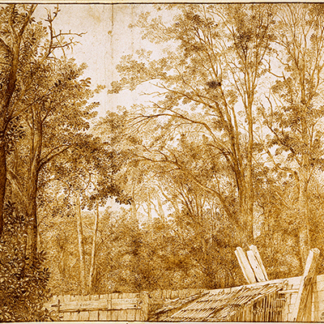Cornelis Hendrickszoon Vroom Trees behind a Wooden Fence c. 1638 1642 1