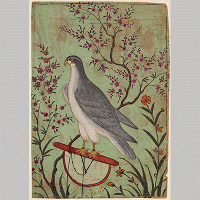 Falcon on a Perch India c. 1610 1
