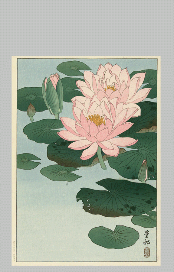 Flowering Water Lily Ohara Koson 1920 1930 1