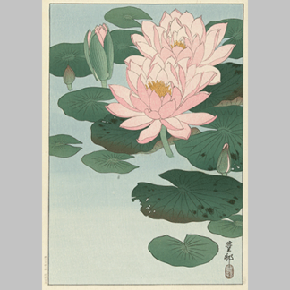 Ohara Koson - Flowering Water Lily (1930)