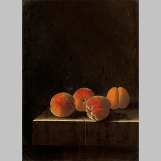 Four Apricots on a Stone Plinth Adriaen Coorte 1698
