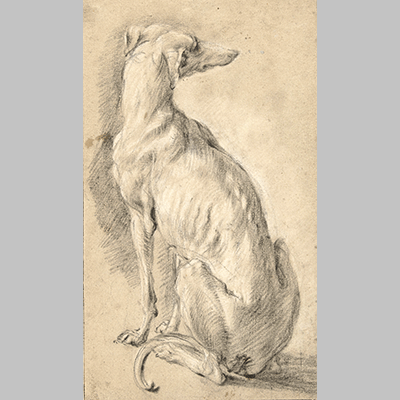 Frans Snijders A Seated Dog from Behind