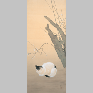 Hishida shunso Cat and Plum Blossoms 1