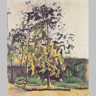 Hodler Baume im Ateliergarten 1917