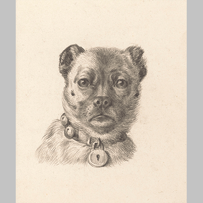 Jean Bernard - Dog head with a collar with a lock from the front 1818