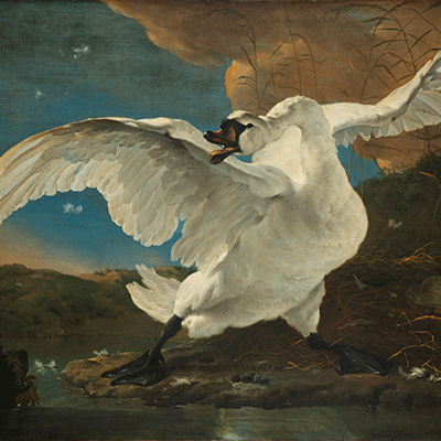 Jan Asselijn The Threatened Swan c. 1650