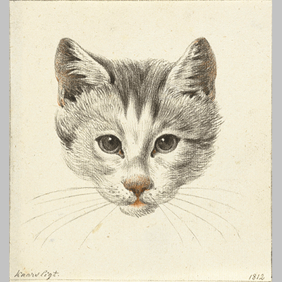 Jean Bernard Head of a cat seen from the front by candlelight 1812