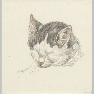 Jean Bernard Kop van een kat van voren 1828