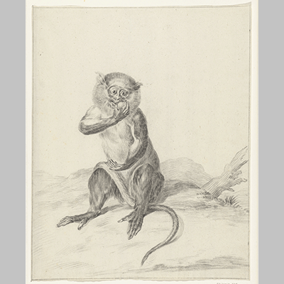 Jean Bernard Zittend aapje een vrucht etend