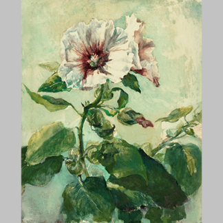 John La Farge Study of Pink Hollyhocks in Sunlight, from Nature