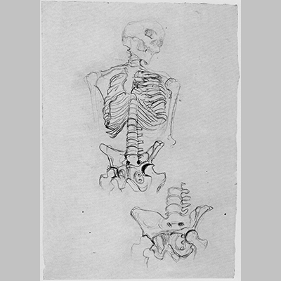 Klimt Zwei Skelettstudien die obere mit Kopf nach rechts