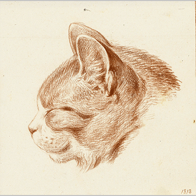 Jean Bernard -Kop van een kat naar links 1813