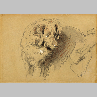 Landseer---Study of a Dog-(1860s)