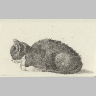 Jean-Bernard - Sleeping Cat Facing Left