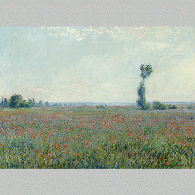 Monet Poppy Field