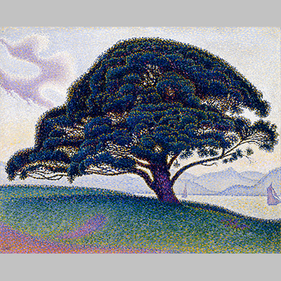 Paul Signac 1893 The Bonaventure Pine