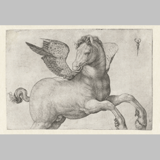 Jacopo de'Barbari - Pegasus (c1516)