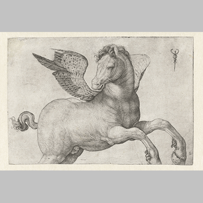 Jacopo de'Barbari - Pegasus (c1516)