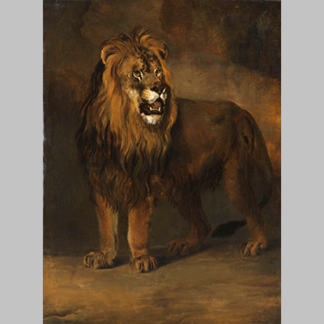 Pieter L'etablevan Os A Lion from the Menagerie of King Louis Napoleon 1808