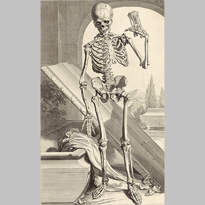 Pieter van Gunst Anatomische model van een menselijk skelet, 1685