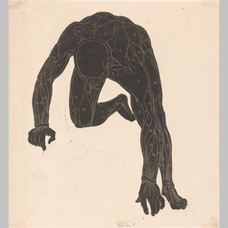 Reijer Stolk Anatomische studie van de hals arm en beenspieren van een man in silhouet