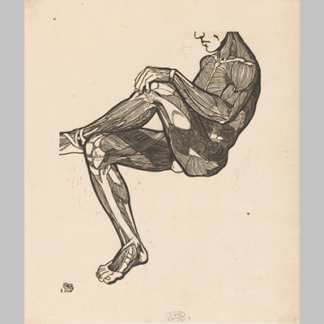 Reijer Stolk Anatomische studie van de been en armspieren van een man