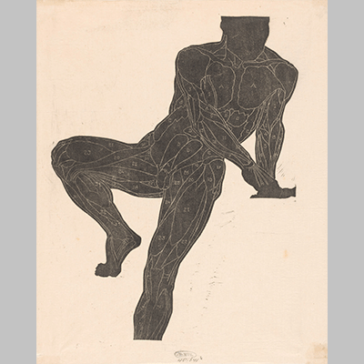 Reijer Stolk Anatomische studie van de borst buik en beenspieren van een man in silhouet