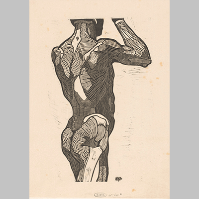 Reijer Stolk Anatomische studie van de rug en bilspieren van een man 2