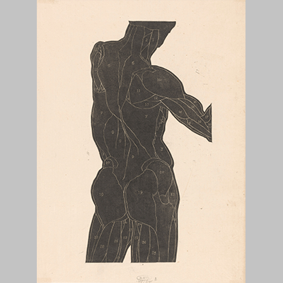 Reijer Stolk Anatomische studie van de rug en bilspieren van een man in silhouet