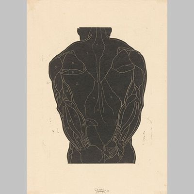 Reijer Stolk Anatomische studie van de rugspieren van een man in silhouet