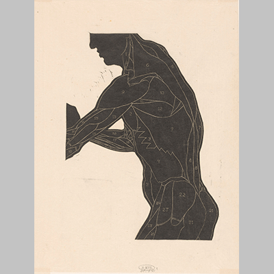 Reijer Stolk Anatomische studie van de zij en armspieren van een man in silhouet