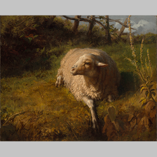 Rosa Bonheur A Sheep at Rest